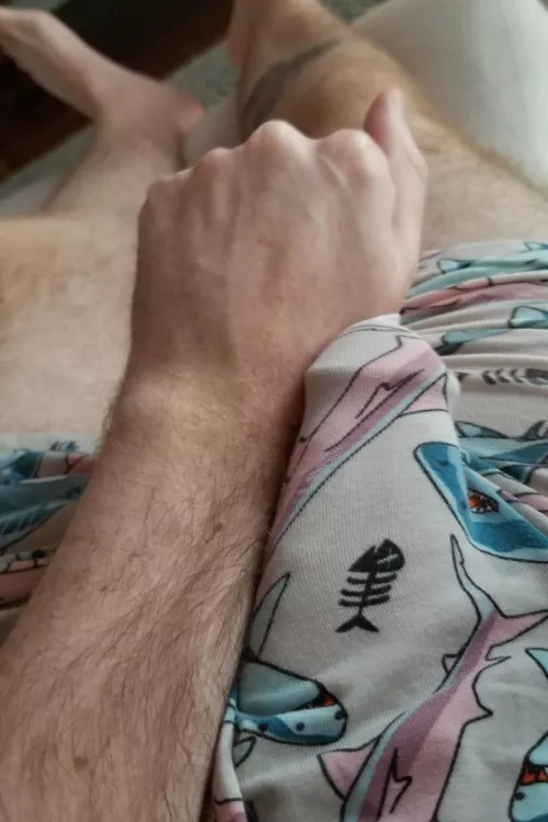 Don't worry, it doesn't bite.