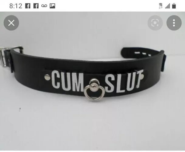 Hello I'm a lonely collar and I need a good home. If you want to adopt me please notify my owner