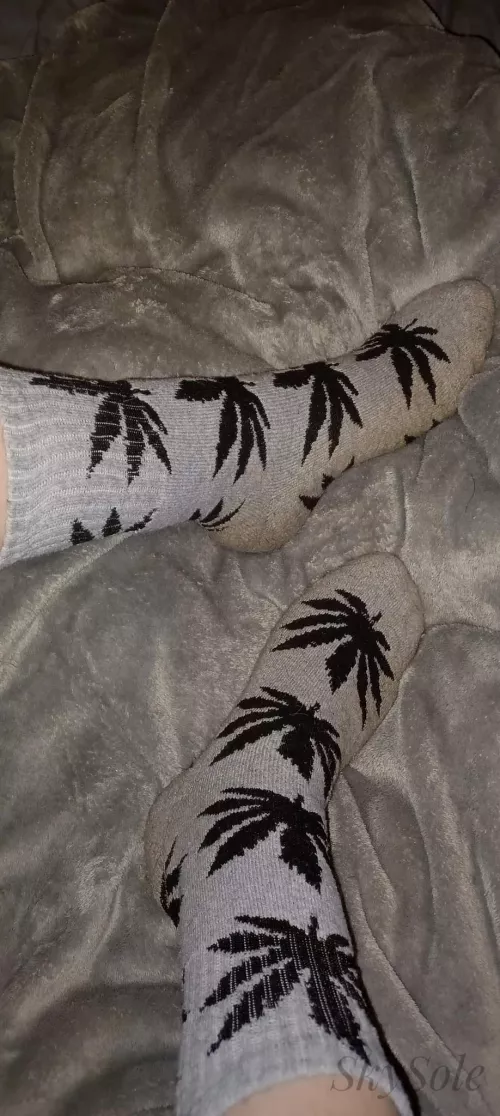 4 days of wear on my favorite socks 🤤 Who wants to make them theirs? [Selling] Discreet packaging & free tracking/Shipping to US.