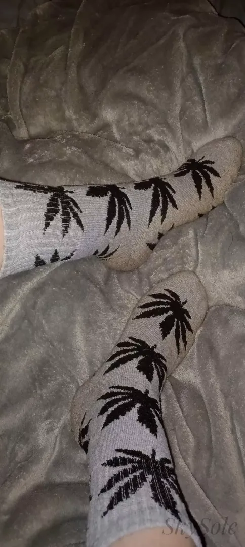4 days of wear on my favorite socks 🤤 Who wants to make them theirs? [Selling] Discreet packaging & free tracking/Shipping to US.