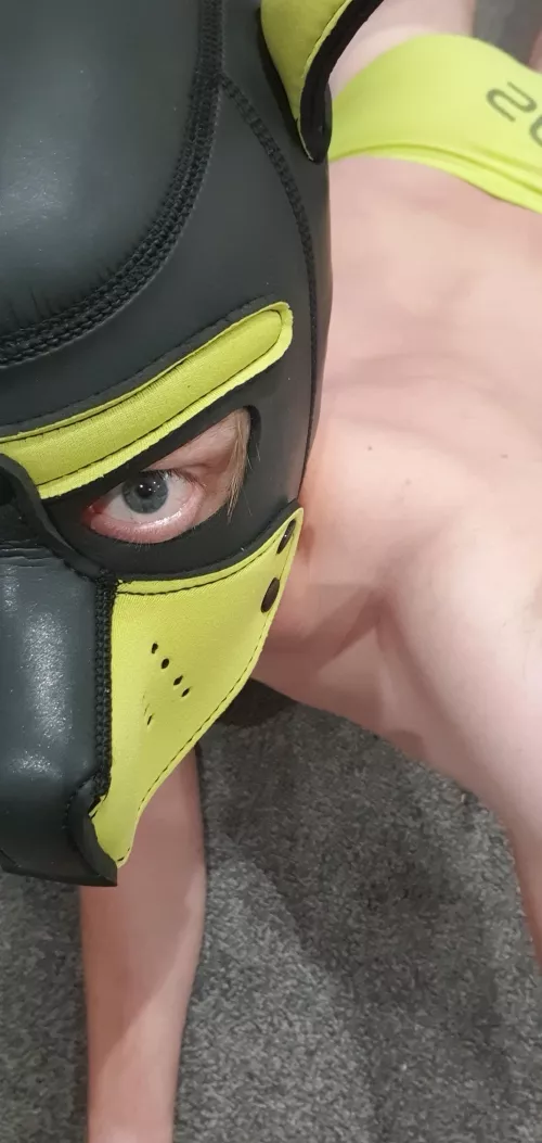 A little pup butt 🐶