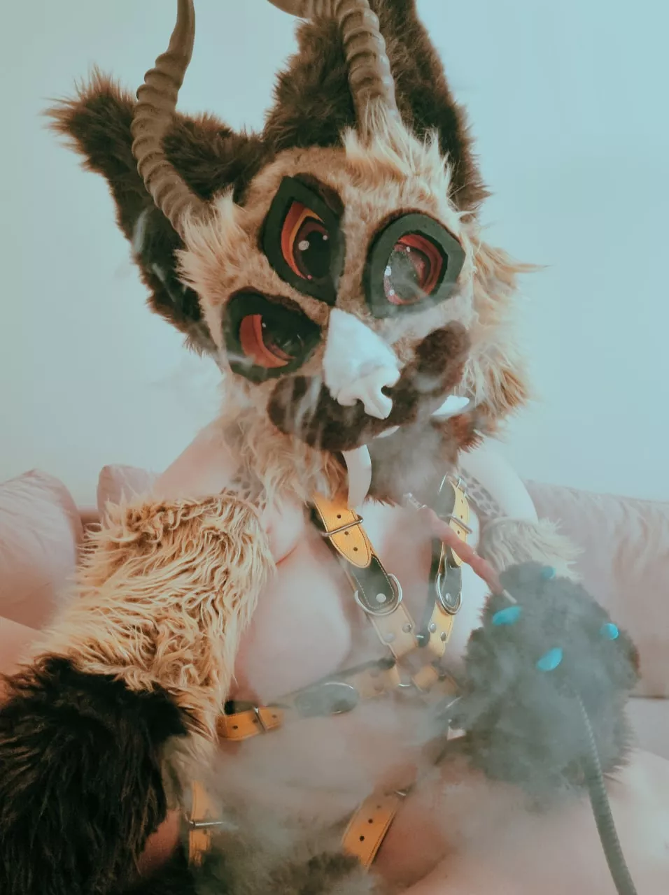 I think I want to blow something else now 💨💨💨 any recommendations?