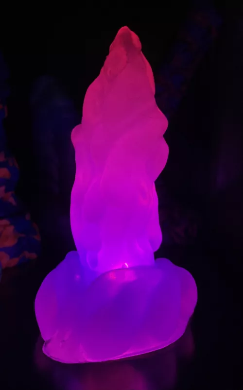 Got my paws on a secondhand dancing lights toy from PF, so gorgeous 😍😍