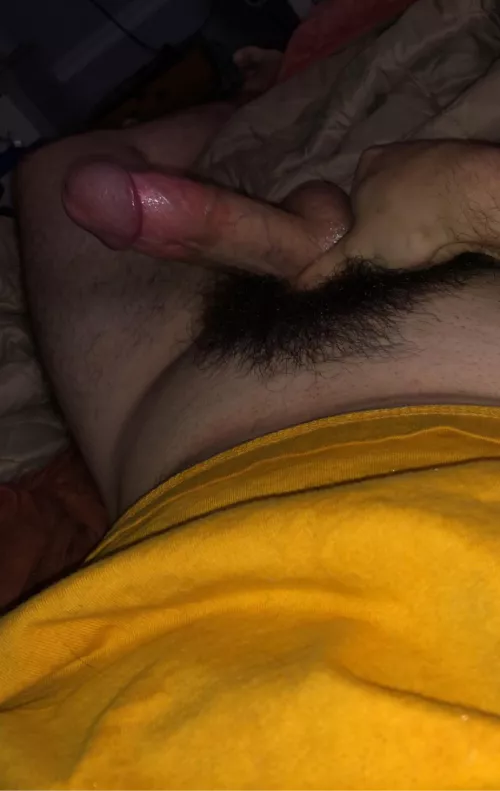 anyone into dark bush? 😉