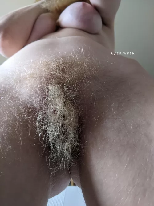 I can't believe how long my blonde pussy hair is getting
