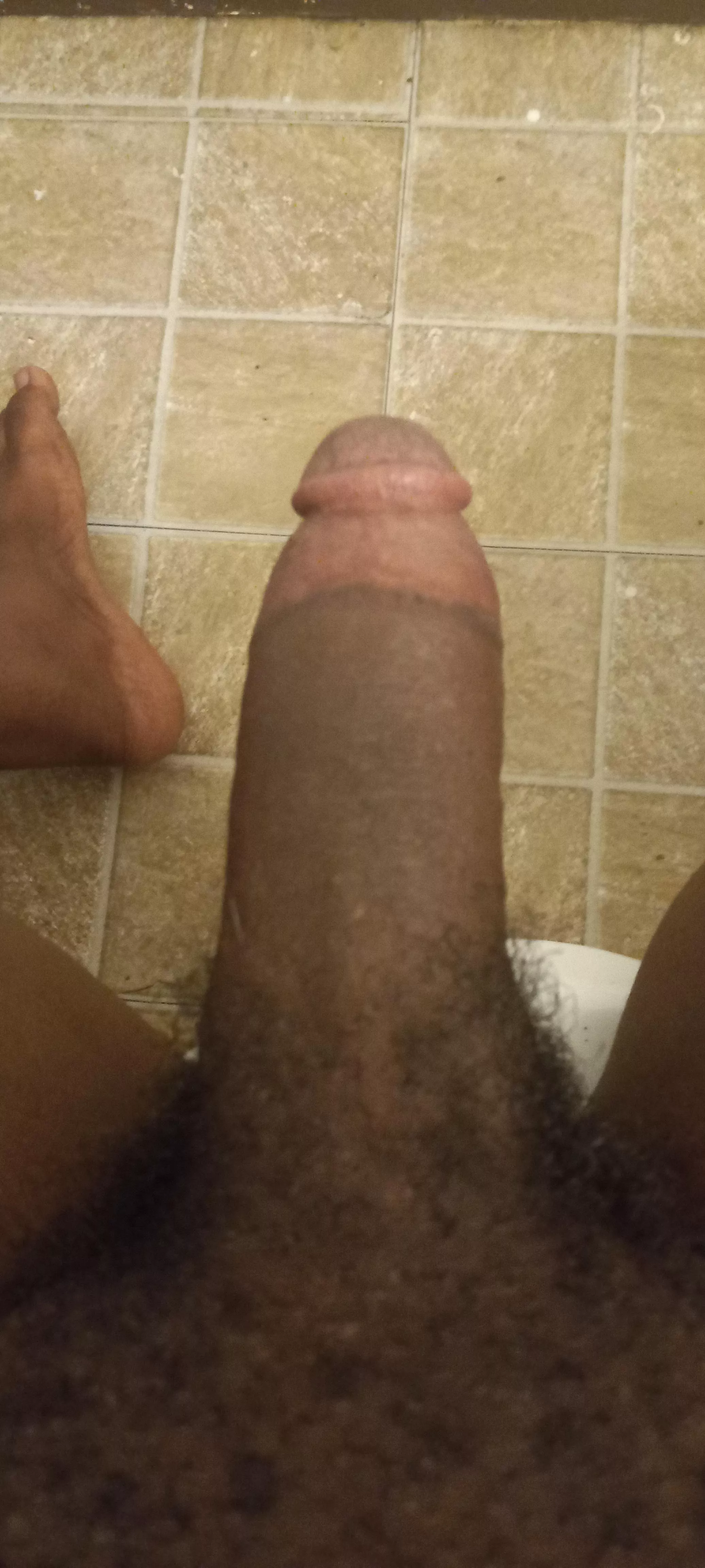 My cock