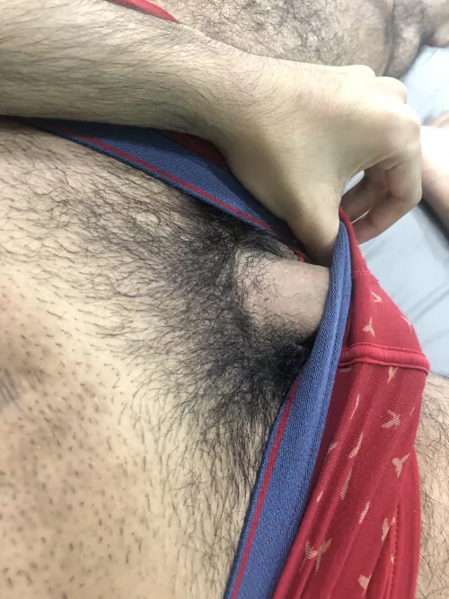 Sometimes I regret trimming