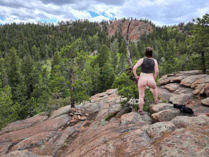 Bush, I'd like you to meet bush