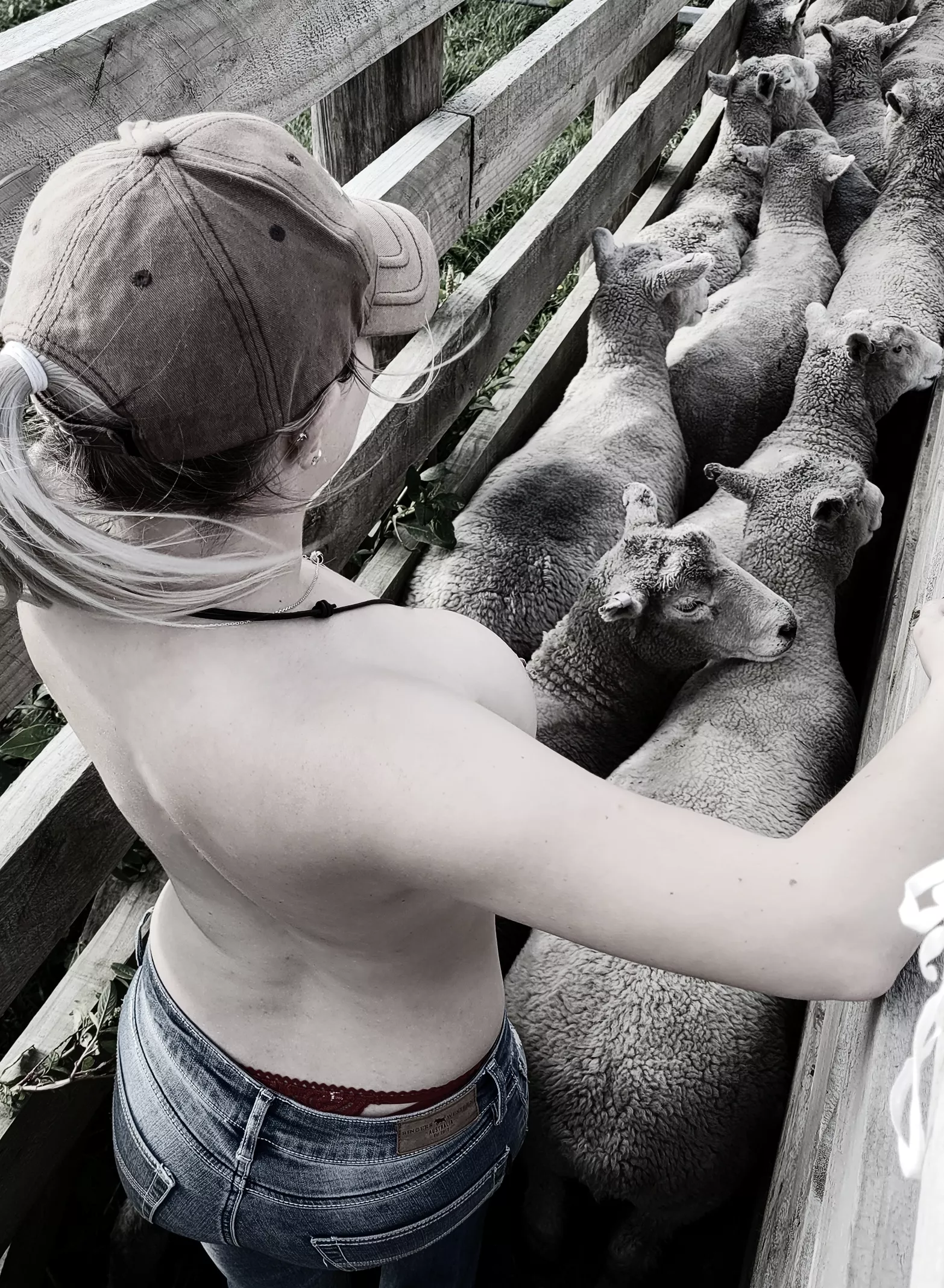 So who wants to be my farm hand?