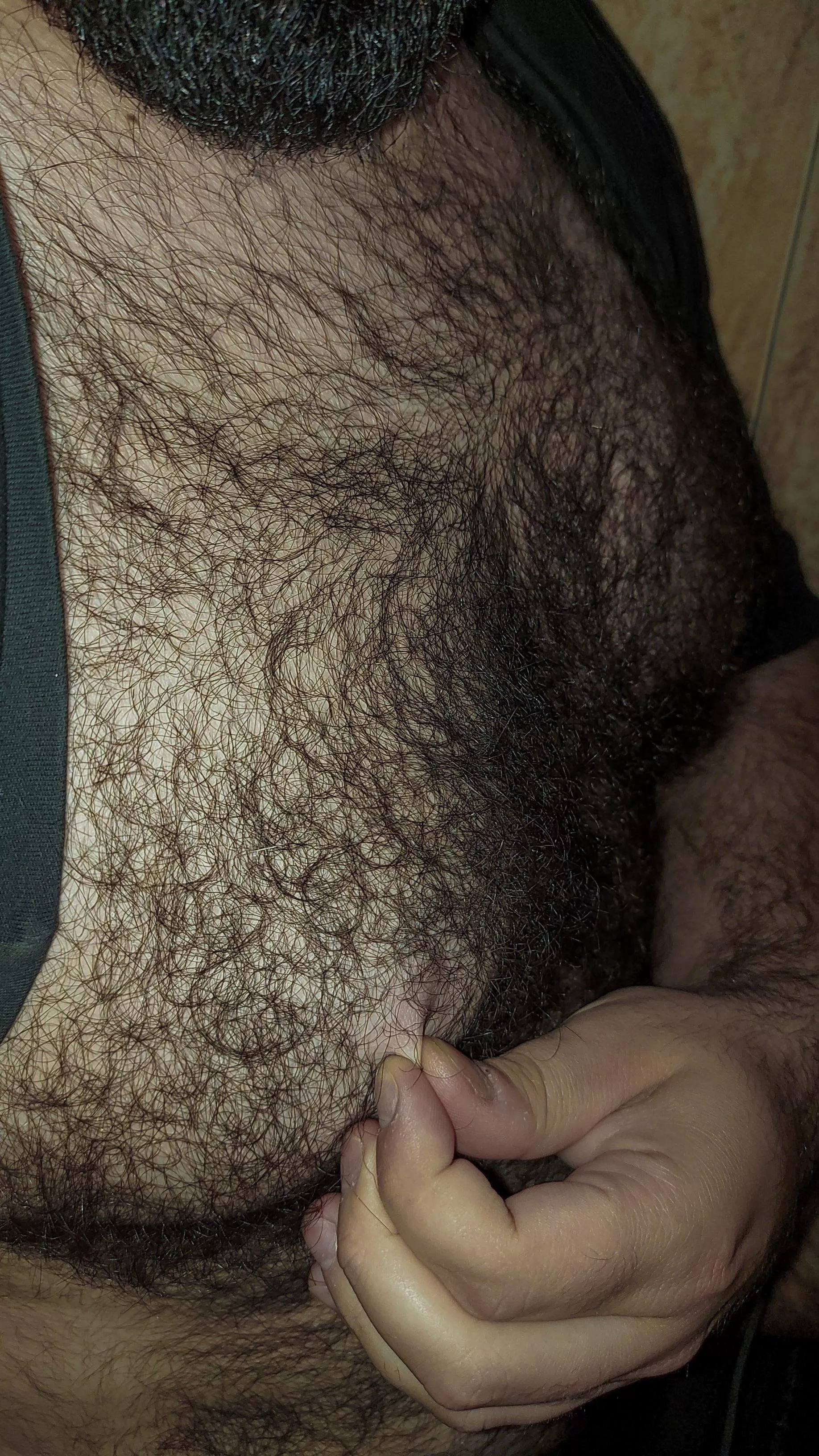 🦍 forever torn between liking my fur and feeling uncomfortable in summer because of it