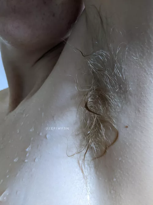 Do you like natural blondes?