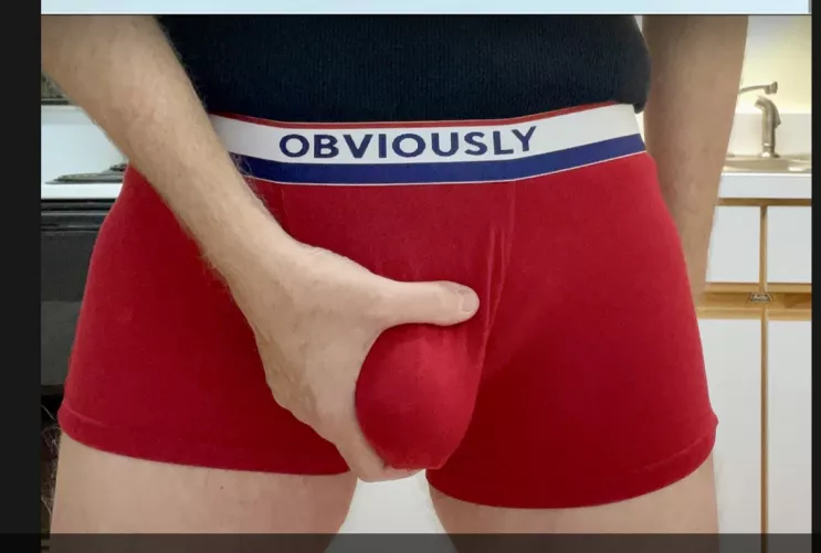 A Bit Late for the 4th, But They're Red, White, and Blue