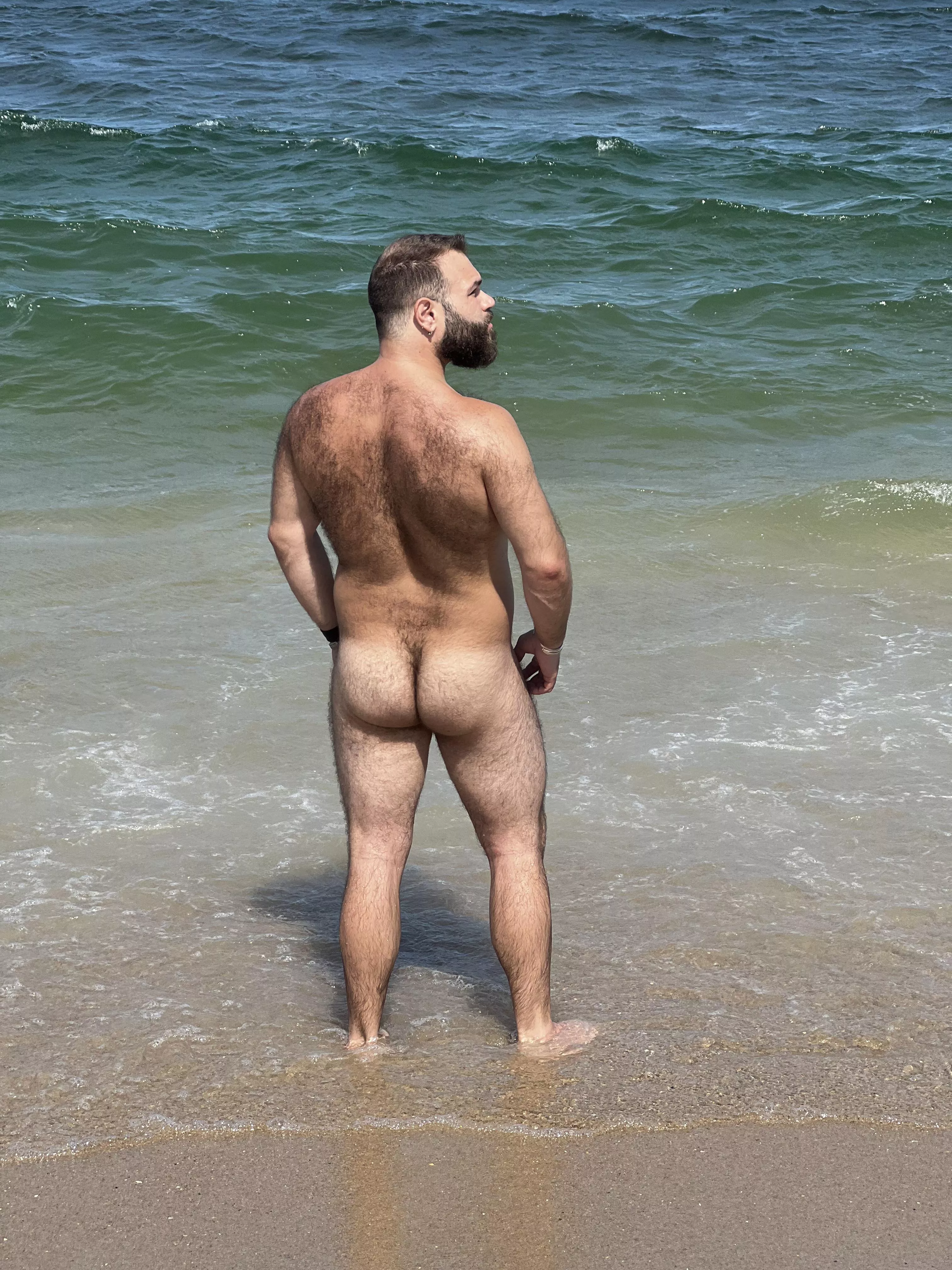 Beach bear.