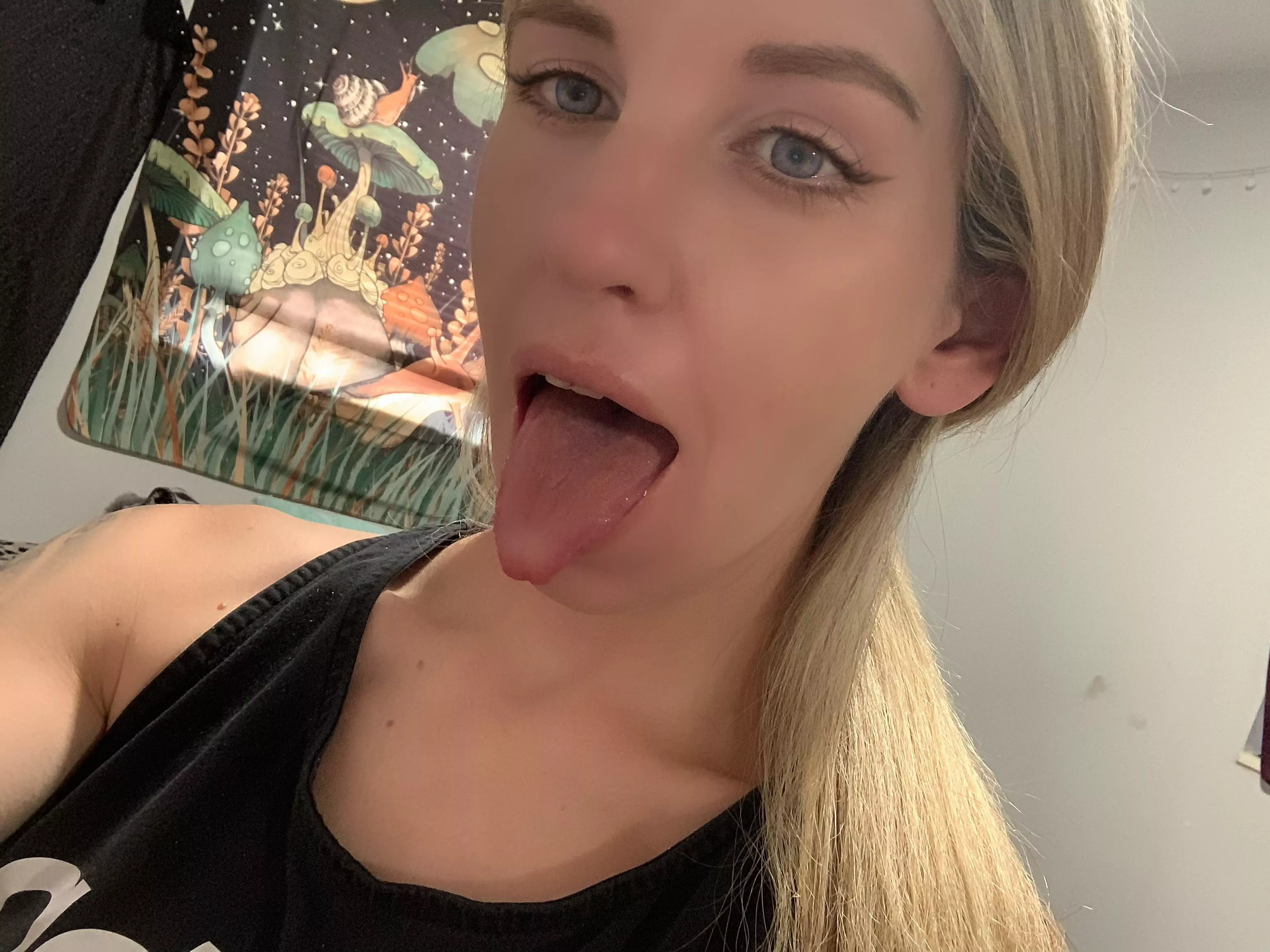 Prepared to lick the next person that walks by ! Prepared to lick the next person that walks by !