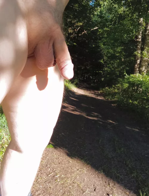 out for a hike today