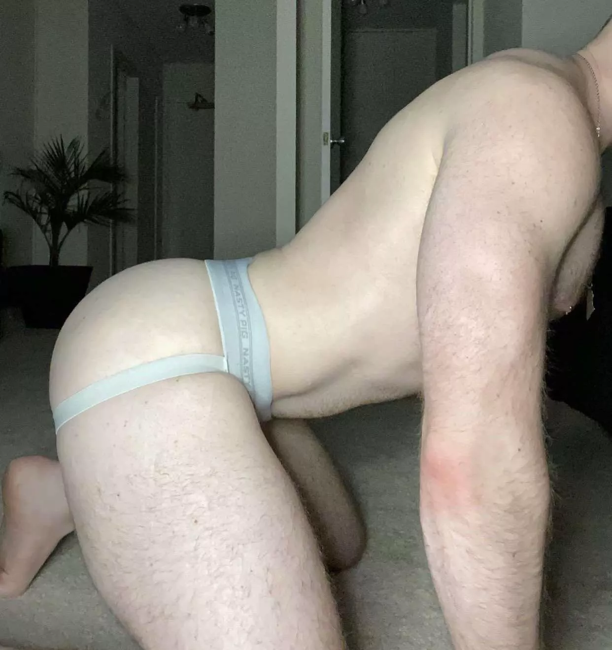 Assume the position 🐶