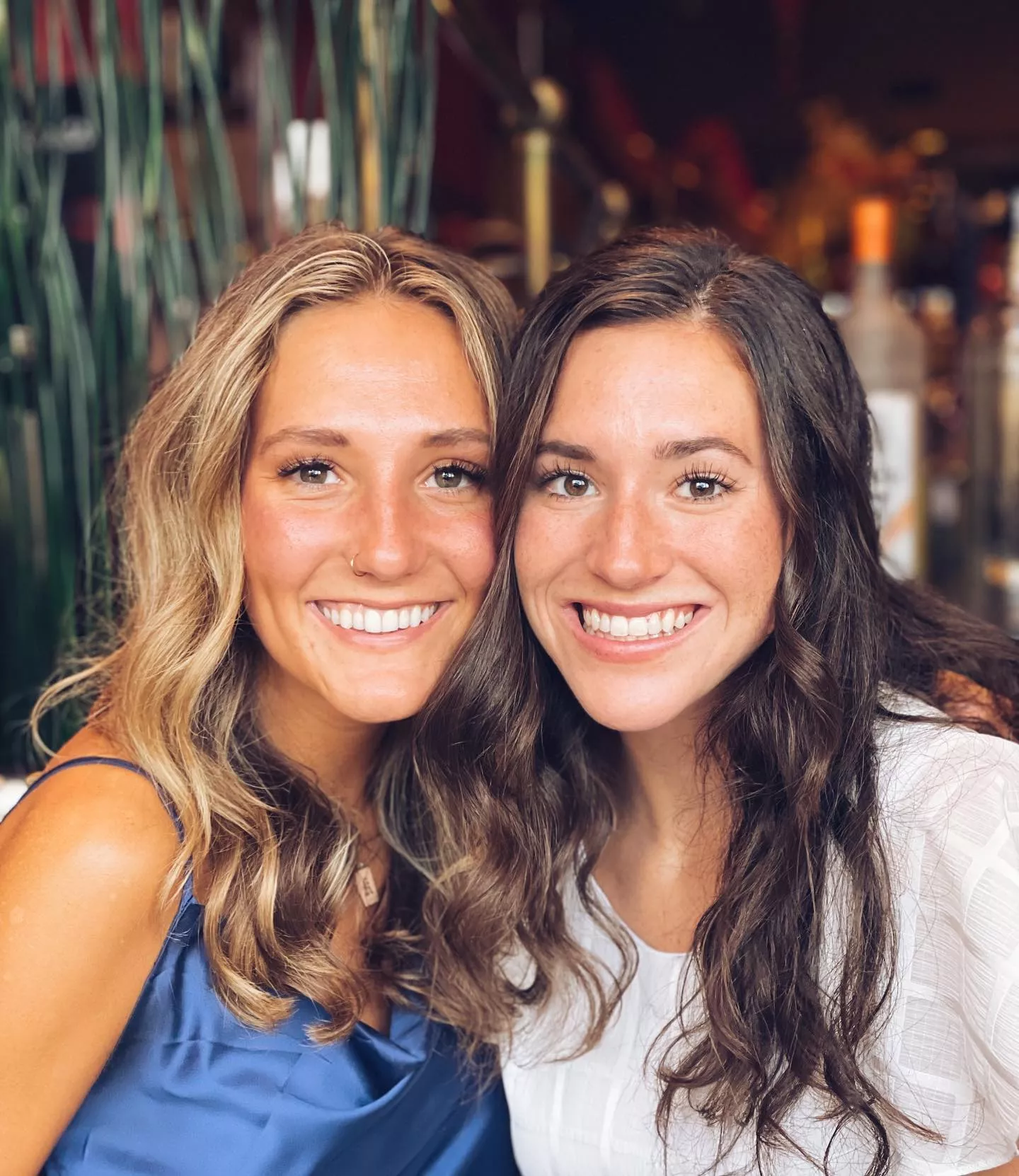 Blonde or Brunette? Blonde or Brunette?