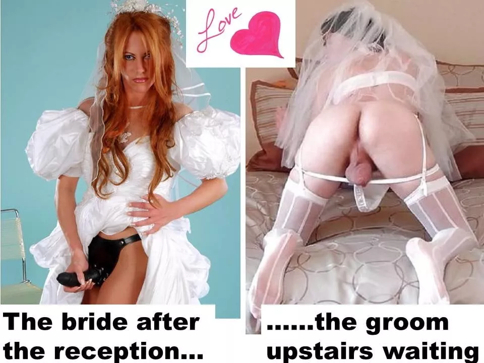 now this is my dream wife now this is my dream wife