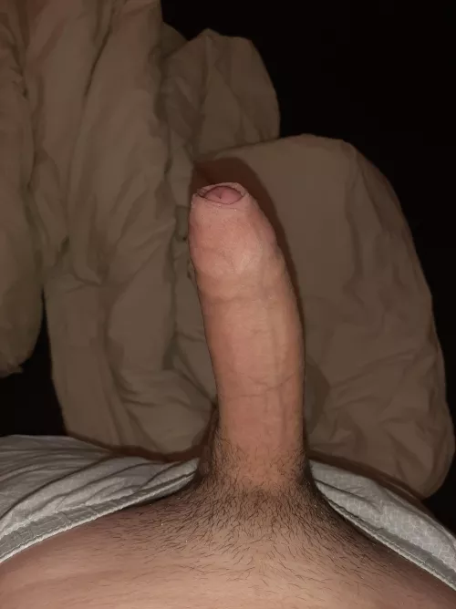 Like my uncut teen dick?
