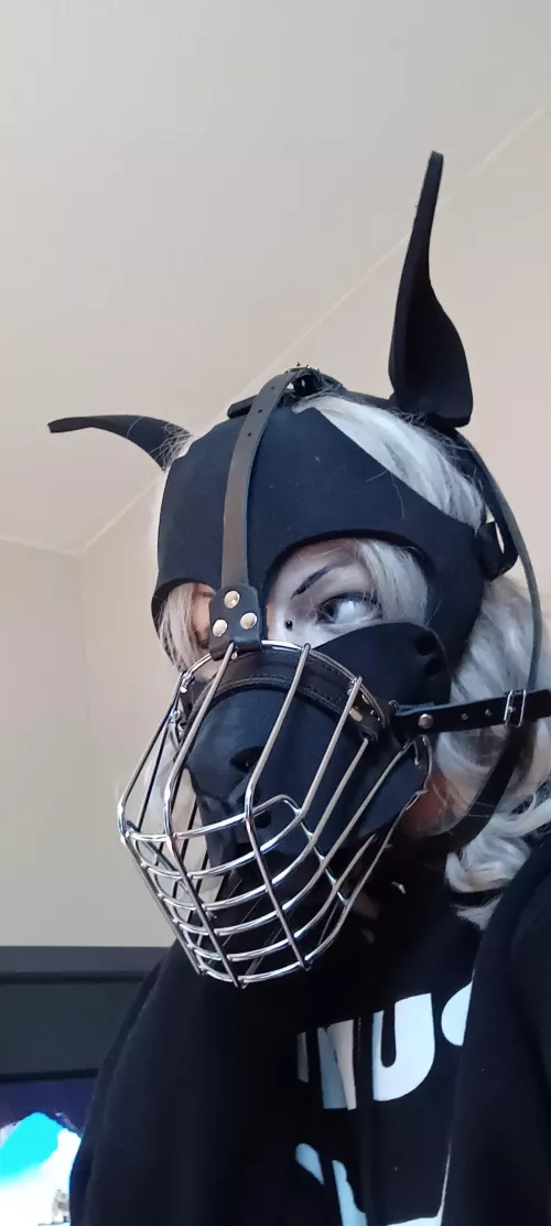 Got a muzzle for my hood!