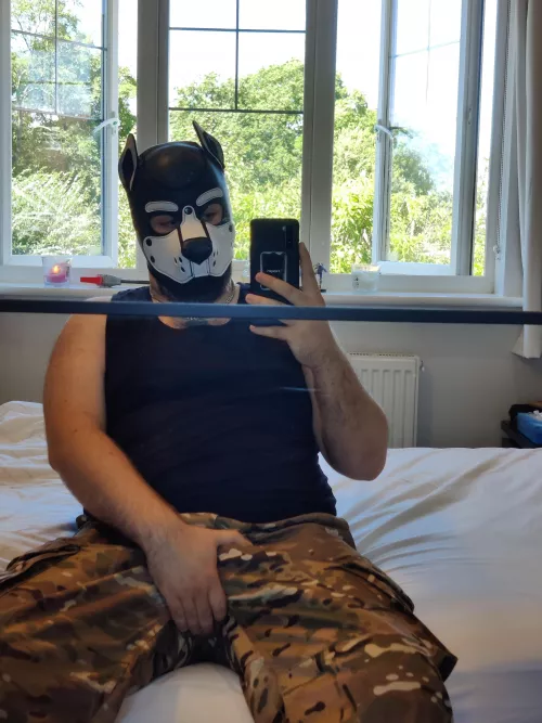 More puppy friends needed aroooo