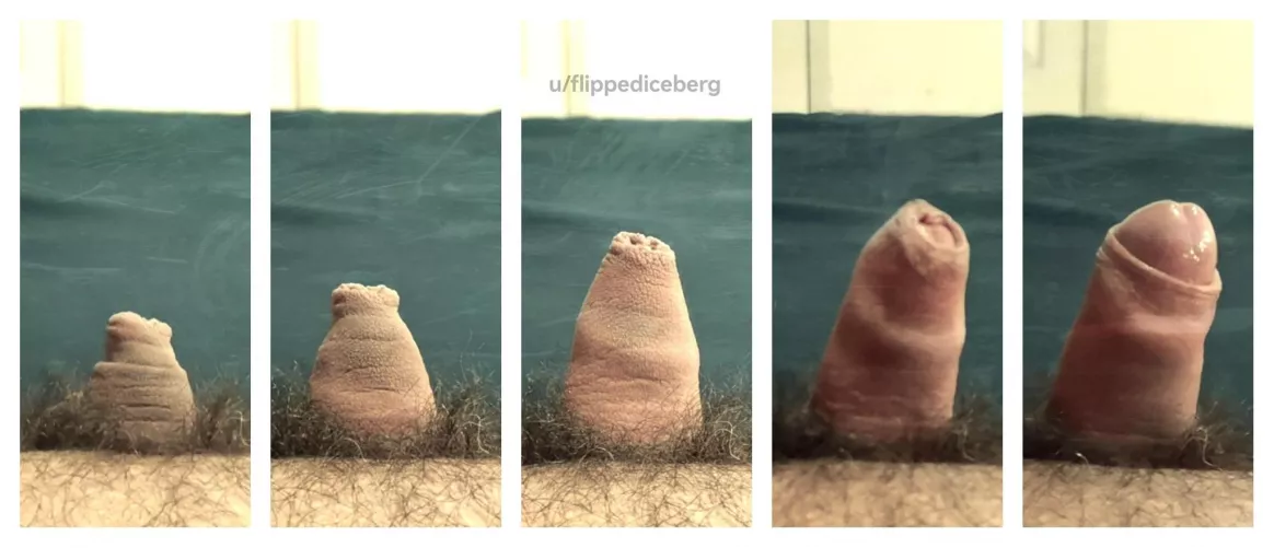 Does it count as a grower if it only goes from small to slightly less small even tough it more than doubles in size? 😅