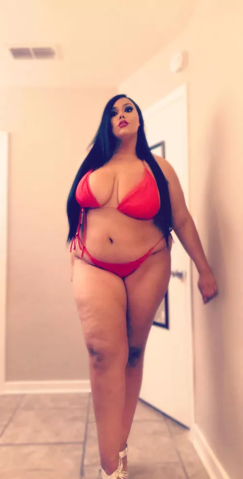 I’m the 6’0 330 lb bbw of your dreams