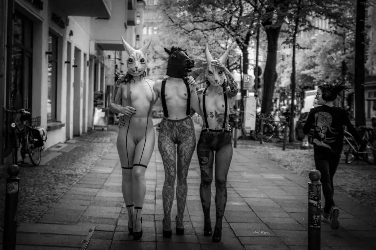 Escaped The Carnival