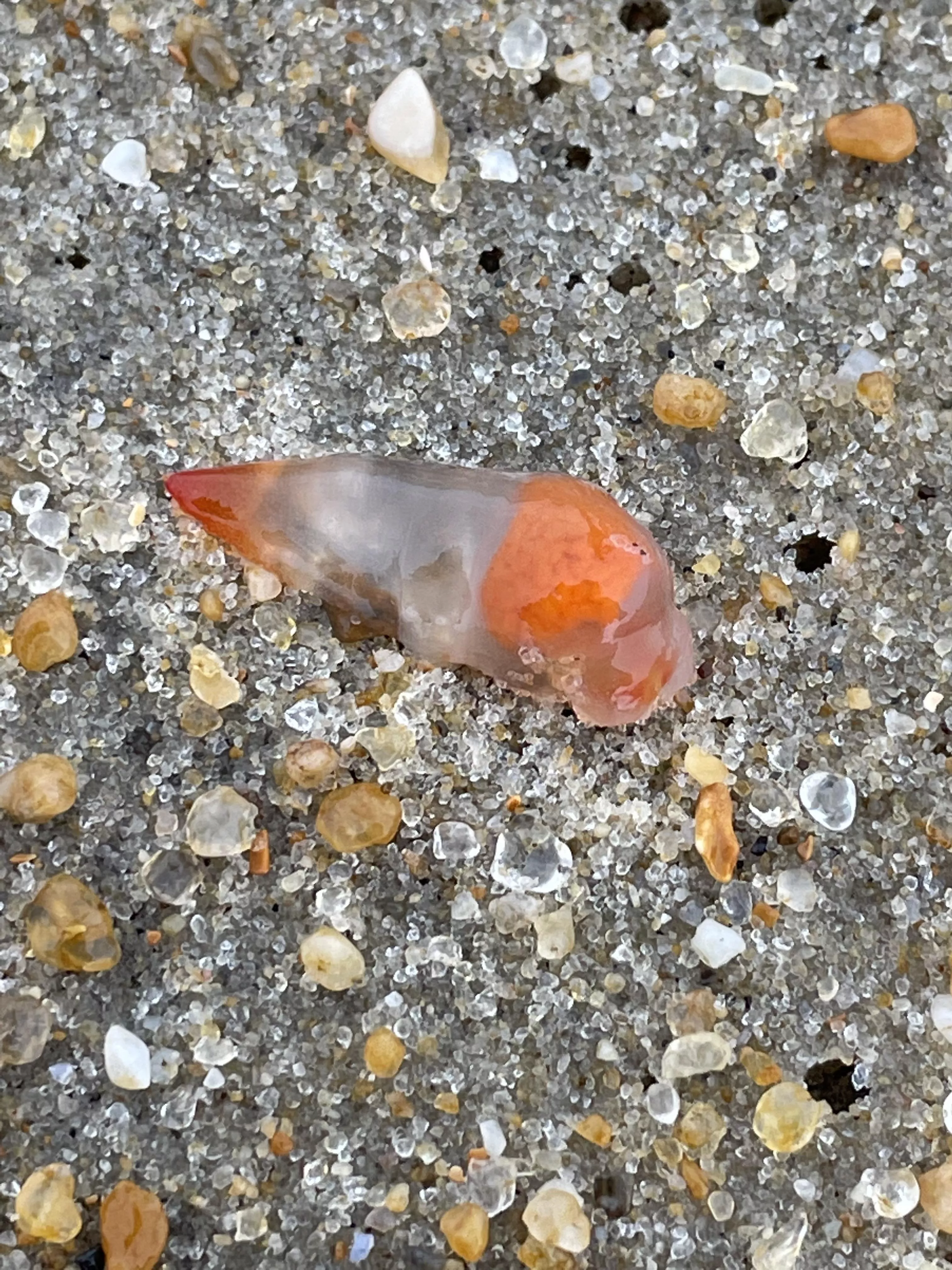 What the hell is that?