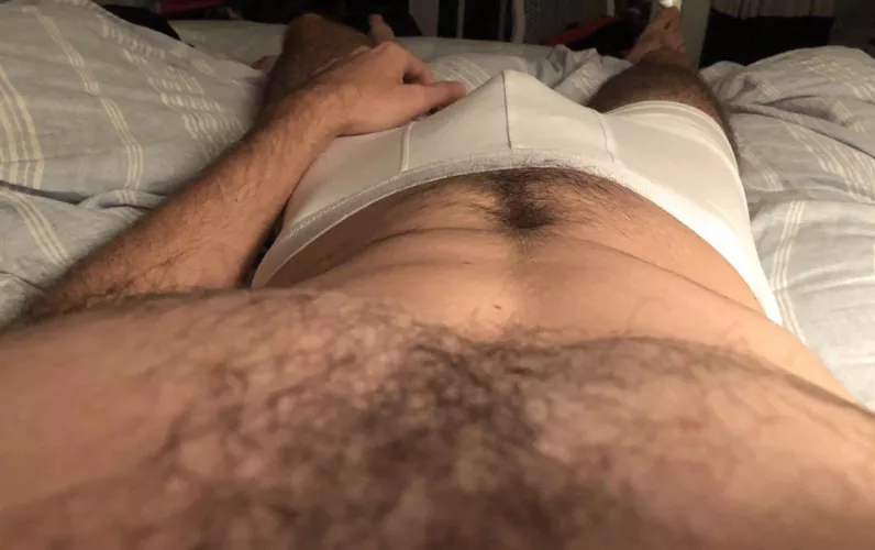 🦦🦦🦦