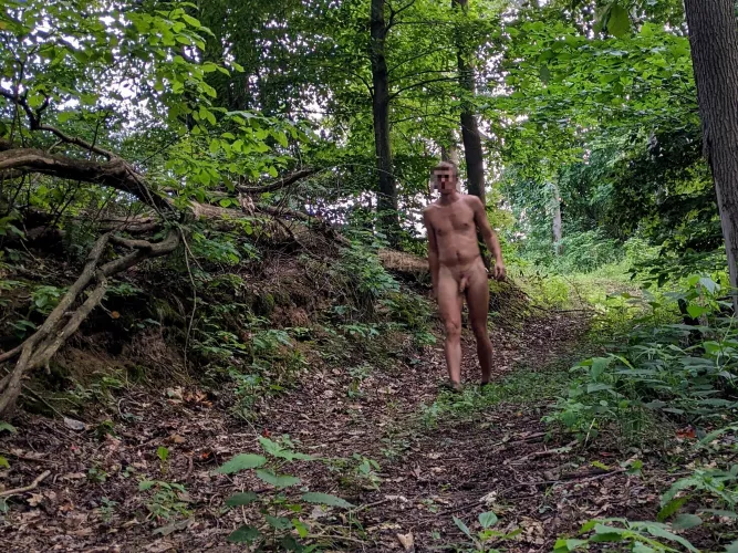 It was a beautiful evening to walk in the woods. Trying to make the most of even the small adventures!