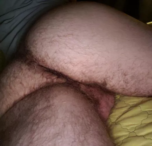 Hairy ✔ Man ✔ Ass ✔