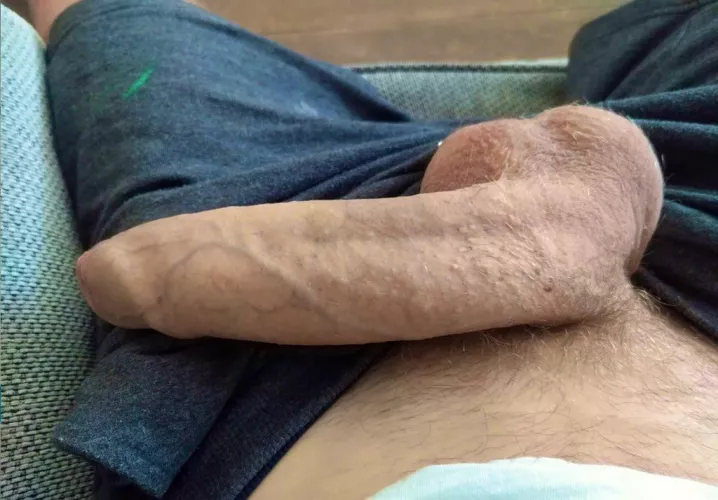 It’s so hot I had to let him out for some air 🥵