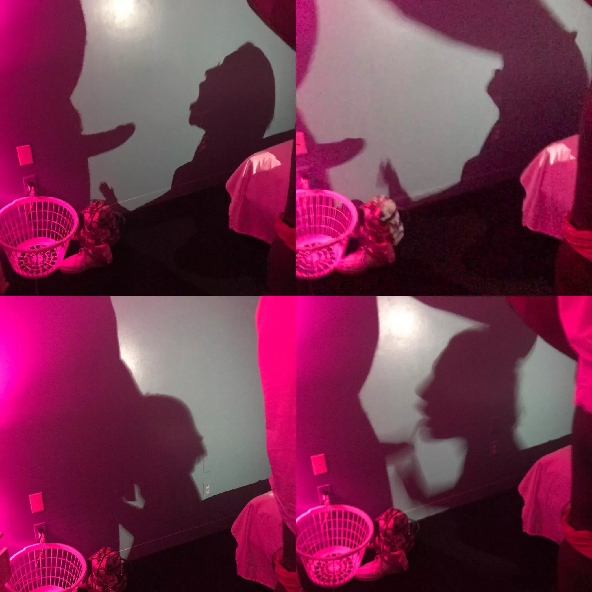 Something a bit different. Hubby was filming me with one bull and another noticed the shadow puppets we were making and took these pictures of me getting my head palmed like a basketball.