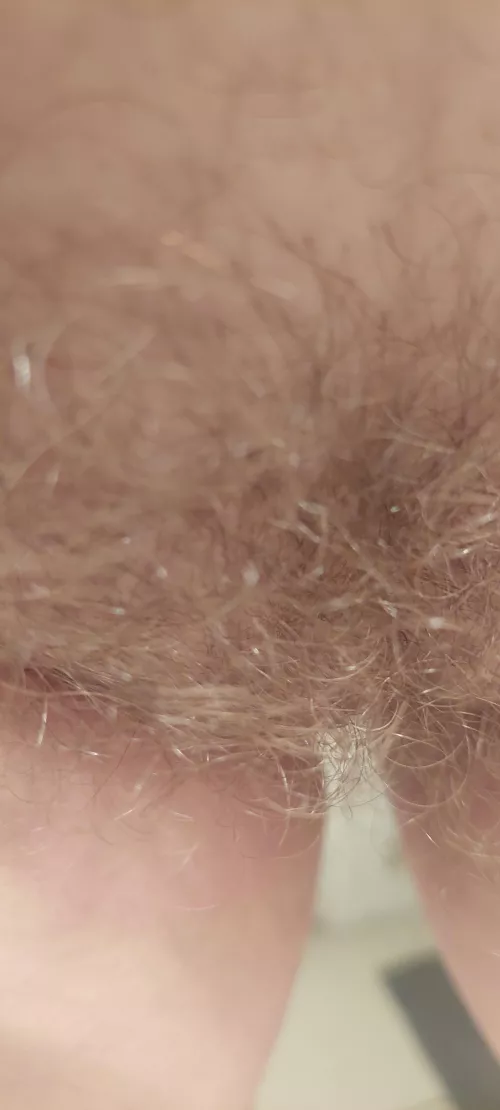 Having a Bush is Healthy ! that's My Health Advice For Reddit !