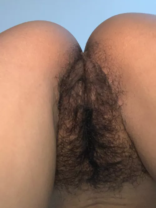 Need I warm your night ?