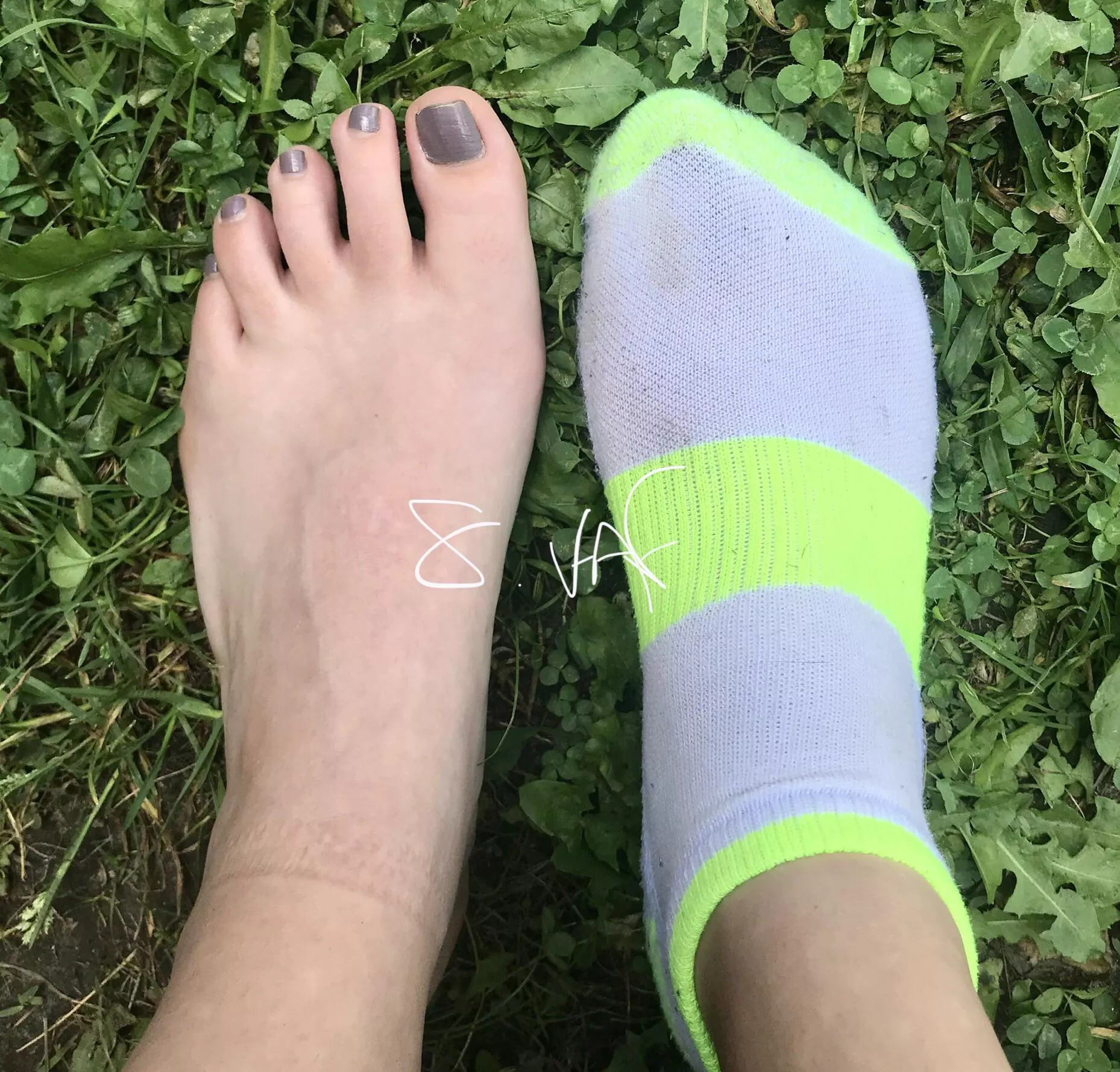 How dirty/smelly do you think they’ll get today in this terribly heat?