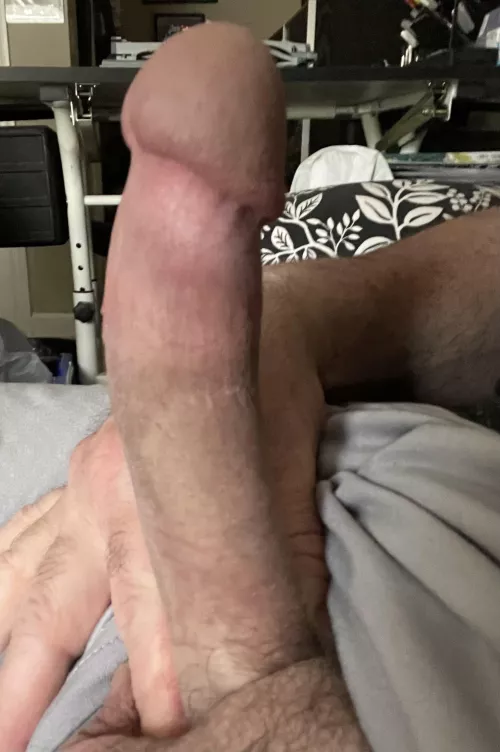 [43] daddy wants to burry his cock deep inside you.