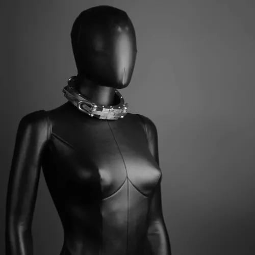 Interesting contemporary heavy shackle