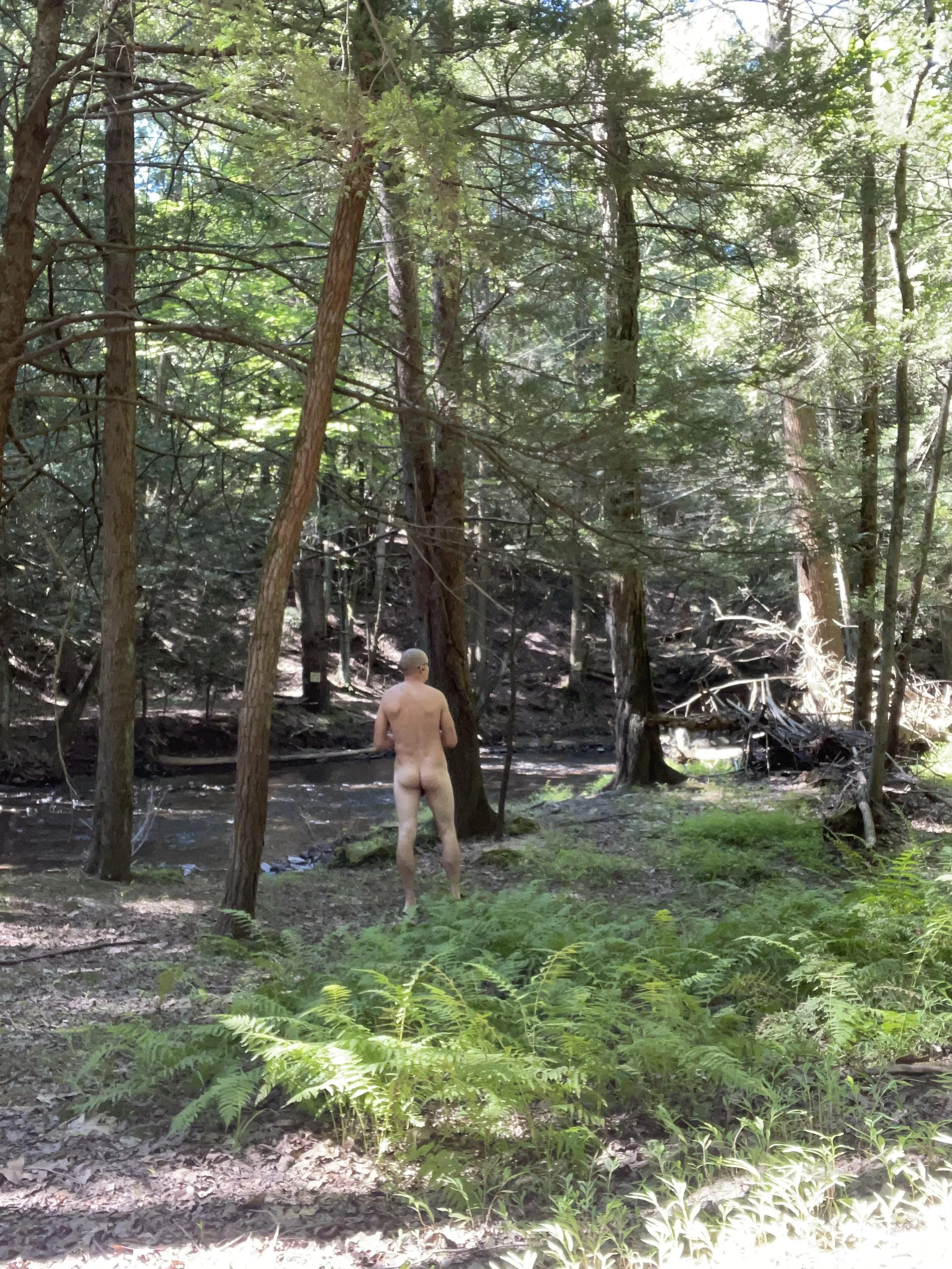 Beautiful morning out checking trail cams this morning.