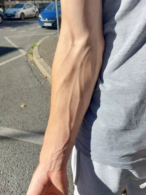 Do you like veins? if so, wanna know what else is veiny?