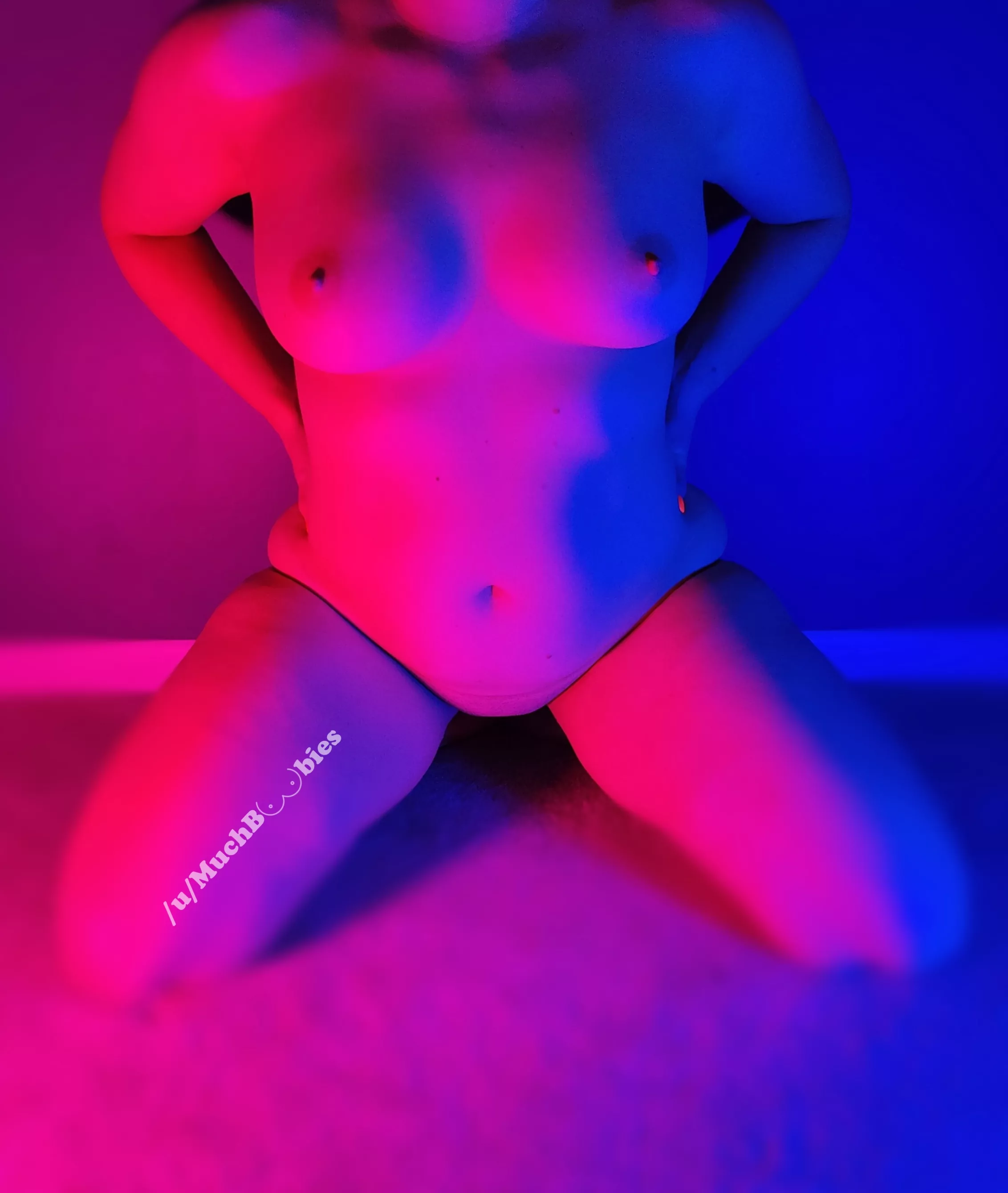 How about a colorful tribute today?