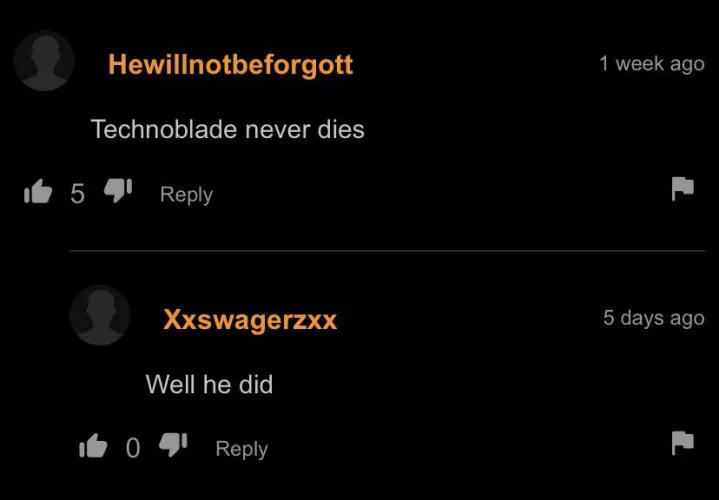 Guys, I don’t think he liked technoblade