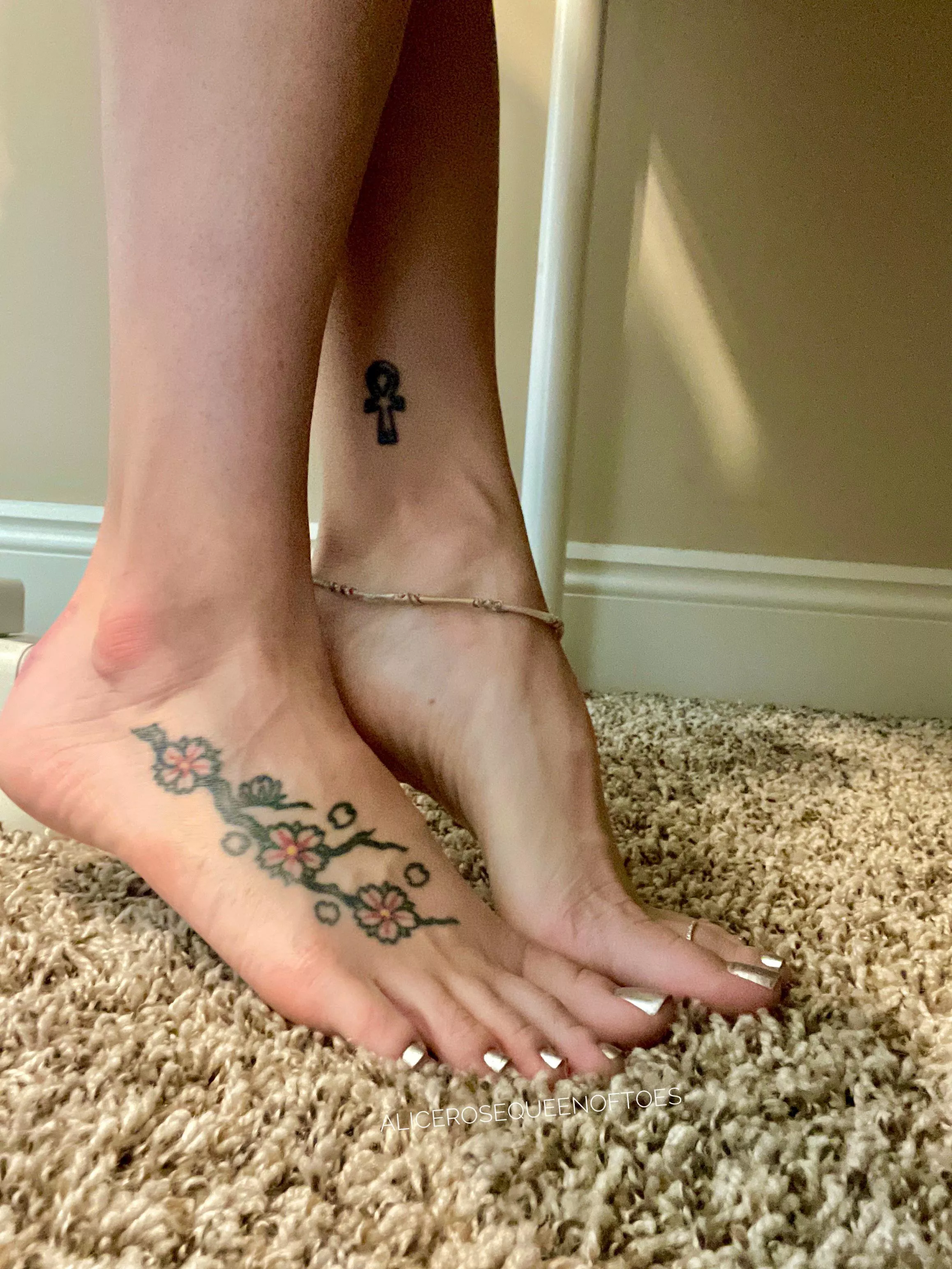 I give you permission to sit under my desk while I game 😊