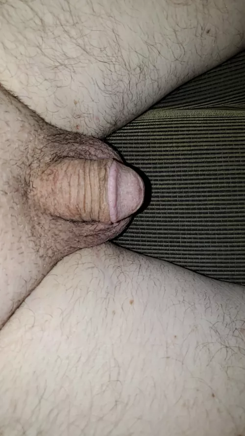 lol....im drunk.....old....overweight and have a tiny dick!!!....lol