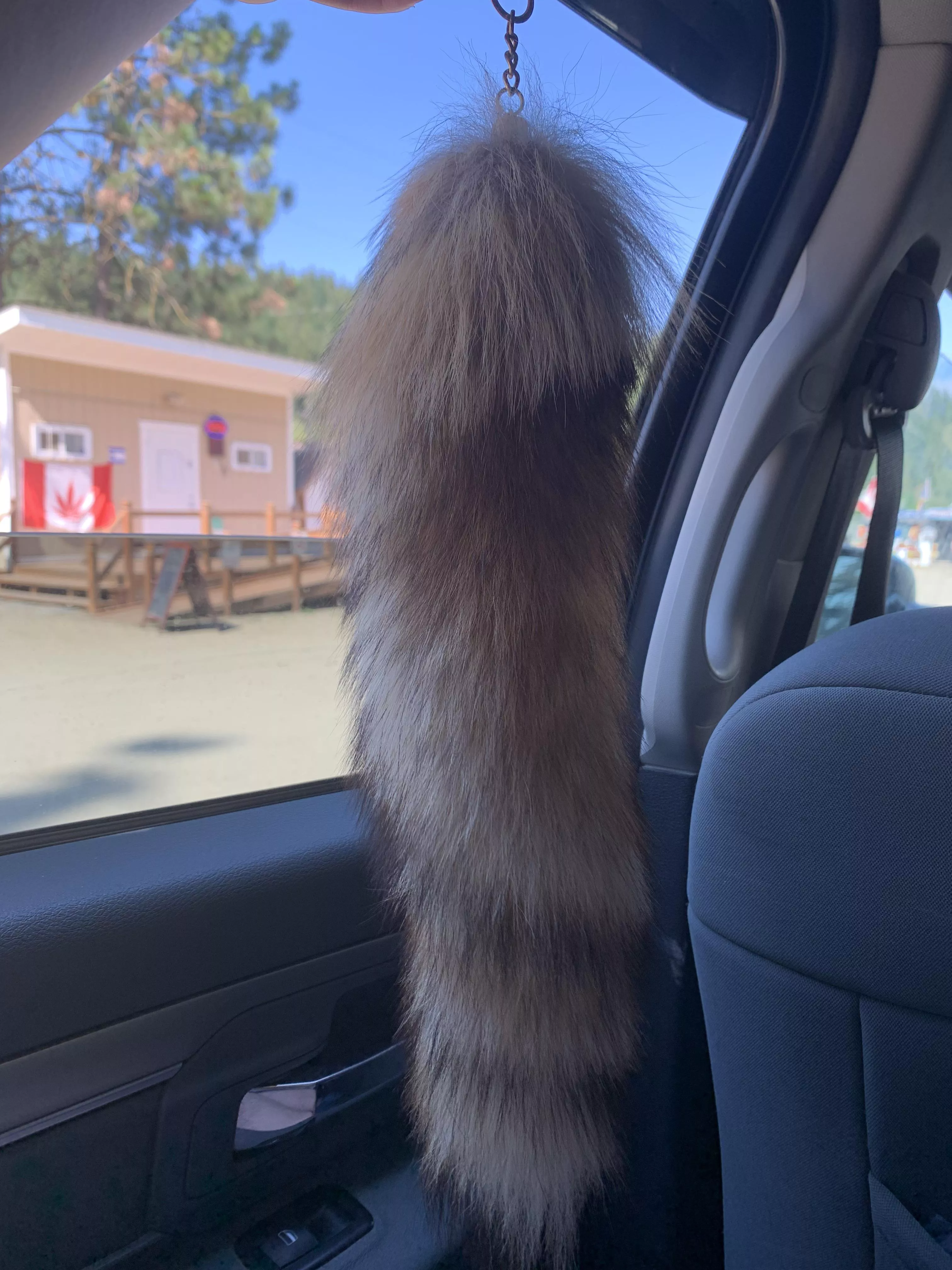 Look how pretty this is! 😍