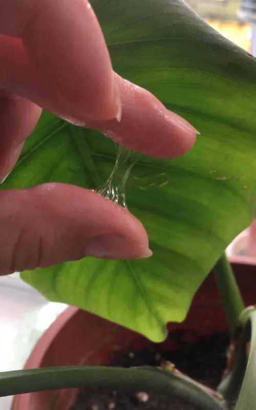 oh la la. fresh juice 😘