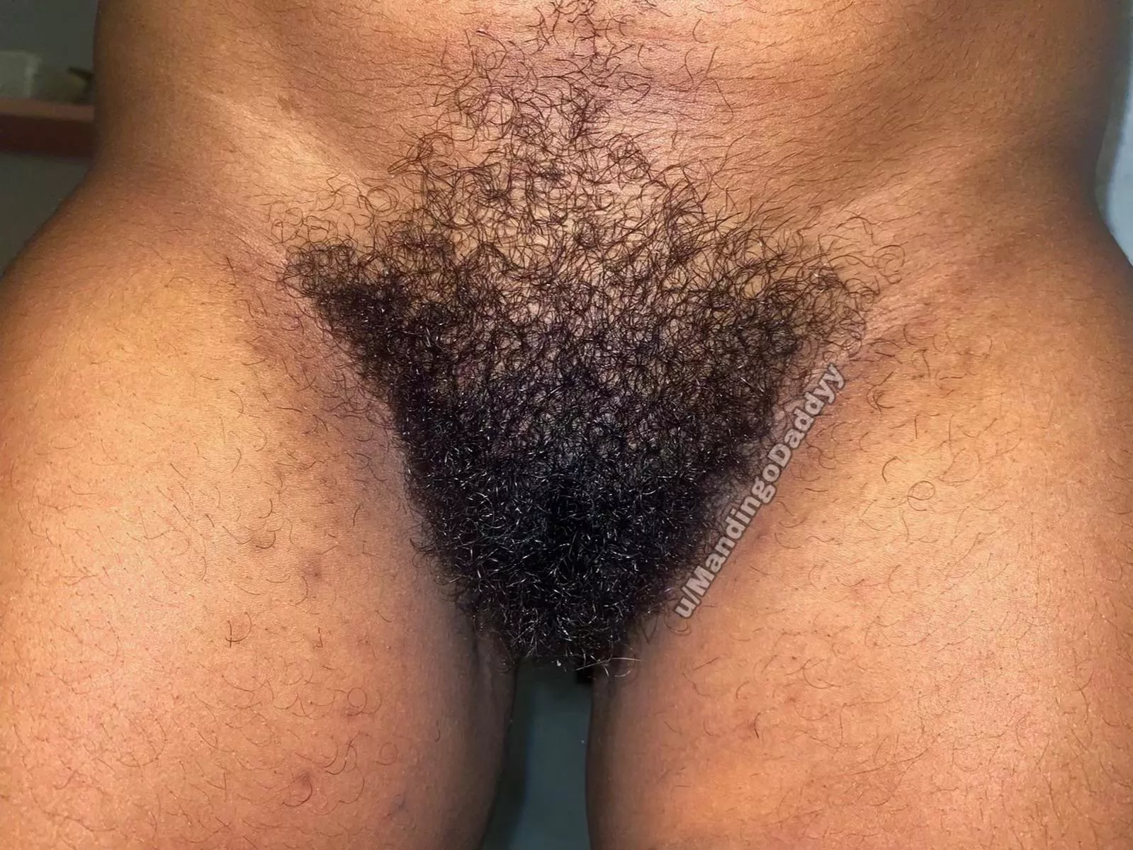 Welcome to The Jungle 🌳😏