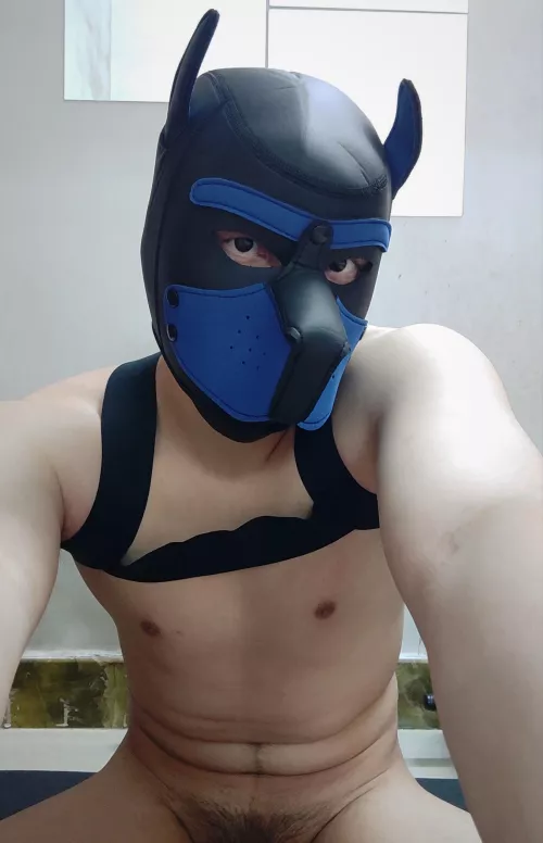 Give this puppy some love? 😘