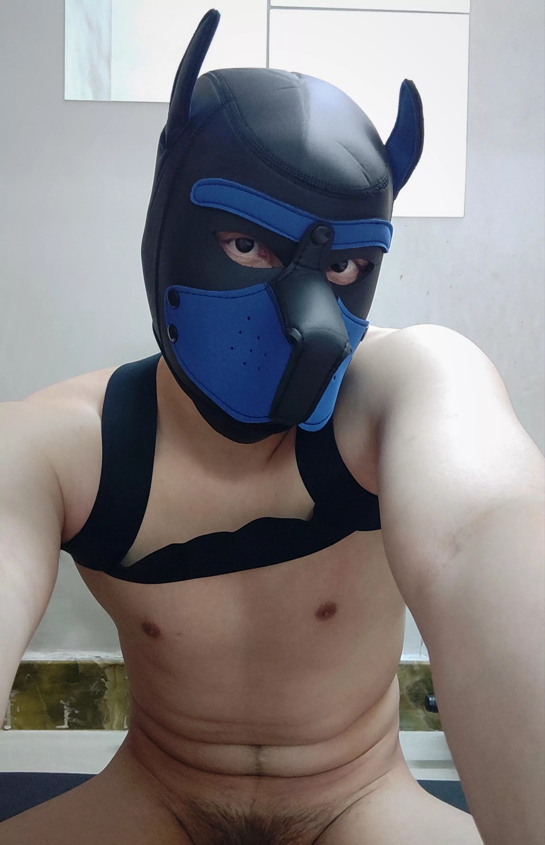Give this puppy some love? 😘